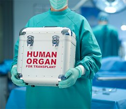Asistentă ţinând o cutie cu un organ uman